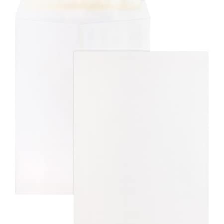 Business Source Envelope, Catlg, Selfsl, 10X13 BSN65451